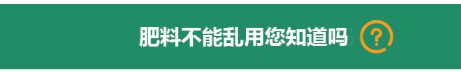 生物肥料廠家直銷增產活性微生物肥快速生根粉生根劑植物生長精示例圖2