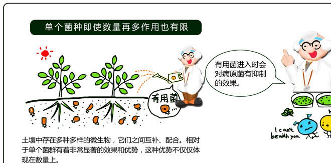 生物肥料廠家直銷增產活性微生物肥快速生根粉生根劑植物生長精示例圖8