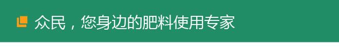 生物肥料廠家直銷增產活性微生物肥快速生根粉生根劑植物生長精示例圖11