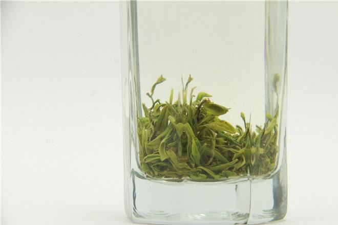 塔山有机茶甘露盒装100g有机绿茶四川特产2016新茶老川茶批发