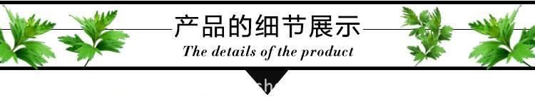 第四代金艾儀遠(yuǎn)紅外線無煙艾灸儀器懸灸儀溫灸器美容院家用養(yǎng)生儀示例圖18