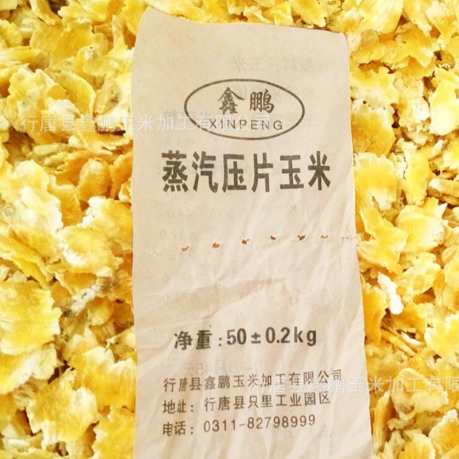 壓片6