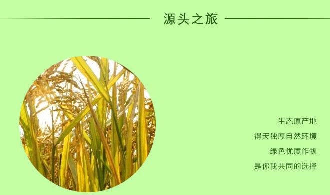 2017新米江蘇有機大米 江蘇非轉(zhuǎn)基因大米 天然健康大米批發(fā)銷售示例圖8