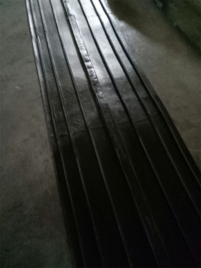 背貼止水帶.jpg