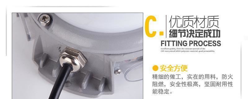 供應大功率十字壁燈 戶外led點光源示例圖7