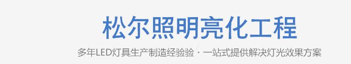 廠家直銷LED洗墻燈12W18W24W36W線條燈戶外工程橋梁防水輪廓燈示例圖3