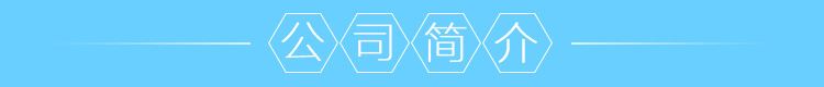 廠家供應(yīng) 316l游泳池門鎖 游泳池玻璃磁力鎖 璃磁力鎖批發(fā)示例圖11