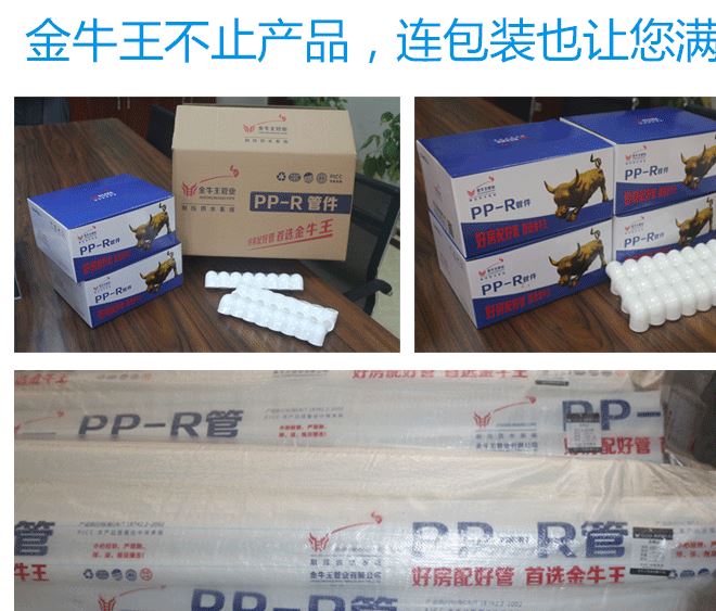 金牛王PPR管件廠家批發(fā)ppr水管管件PPR45°彎頭 浙江PPR45度彎頭示例圖9