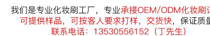 廠家直銷 新款10支化妝刷套裝 小蠻腰化妝刷 美妝彩妝工具 批發(fā)示例圖17