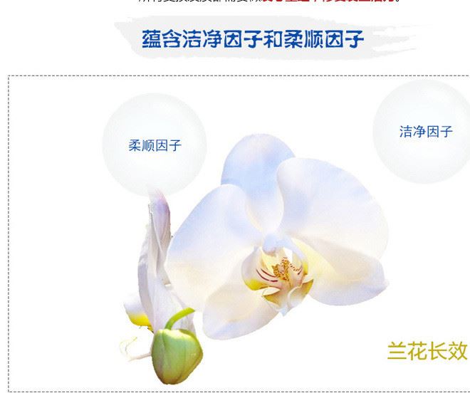飄柔 洗發水400ml長效清爽去屑洗發露適合中性到油性家庭護理系列示例圖5