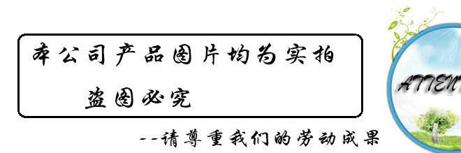 1.5kg去油霸洗潔精 增白洗潔精批發(fā) 日化用品批發(fā)示例圖84