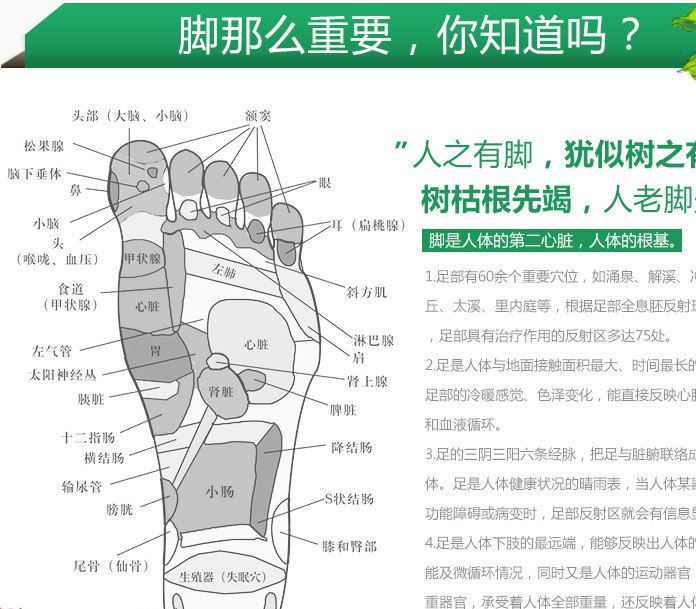 番茄派苦瓜養(yǎng)顏助眠足部護(hù)理改善睡眠去濕氣足貼示例圖7