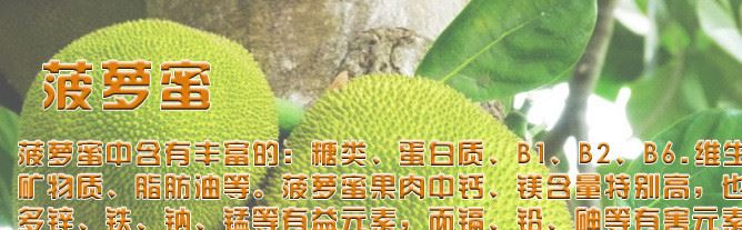 新鲜菠萝蜜 泰国菠萝蜜 肉厚香浓特级泰国菠萝蜜批发示例图1