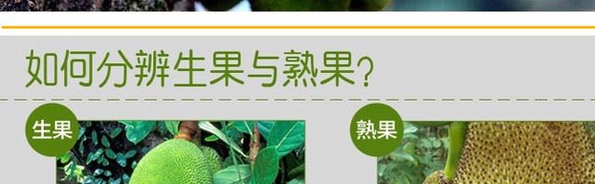 新鲜菠萝蜜 泰国菠萝蜜 肉厚香浓特级泰国菠萝蜜批发示例图10