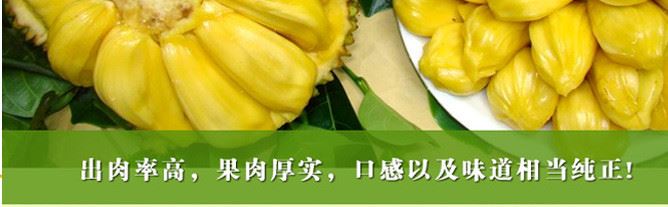 新鲜菠萝蜜 泰国菠萝蜜 肉厚香浓特级泰国菠萝蜜批发示例图17