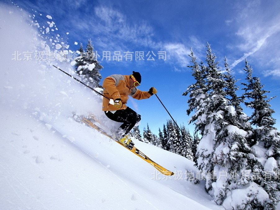 批發(fā)滑雪杖  碳素滑雪杖 超輕 魯濱遜滑雪用品 雙板滑雪示例圖2