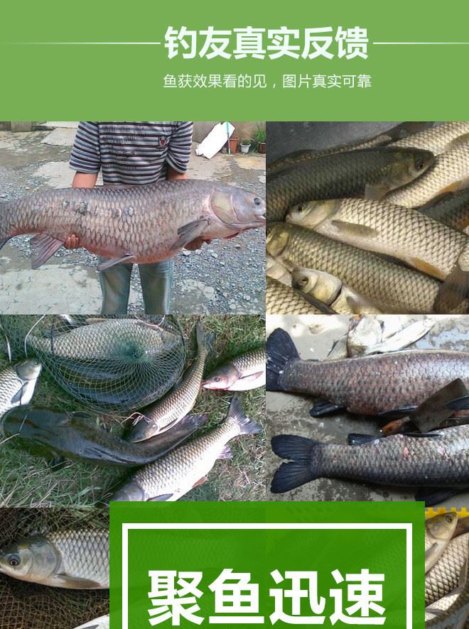 老拐魚(yú)餌留鰱鰱鳙小藥鰱魚(yú)花鰱白鰱誘食劑添加劑野釣廠家批發(fā)餌料示例圖6