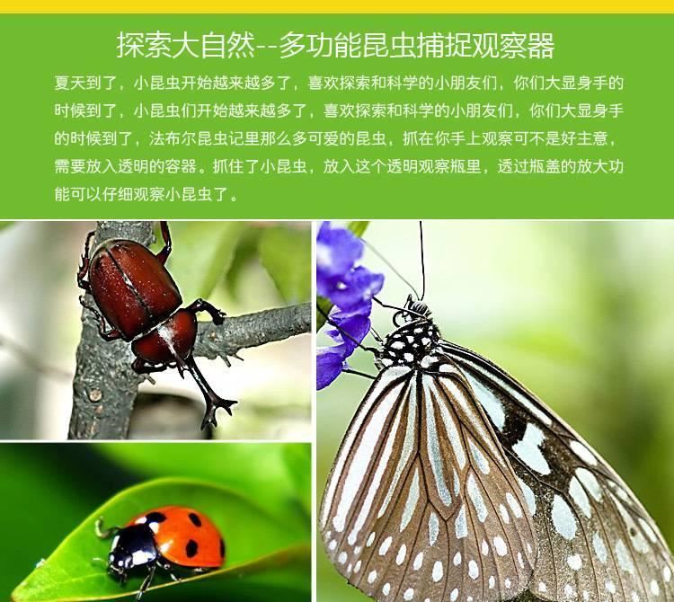 兒童早教實驗研究塑料工具盒捕捉昆蟲飼養觀察盒網養殖箱益智玩具示例圖11