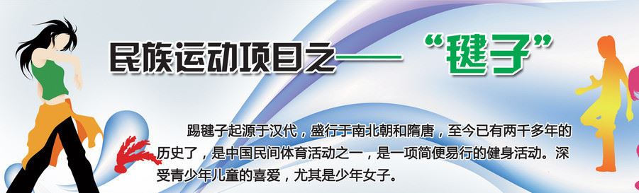 荷花毽子 学生毽子 比赛毽子毽球 鸡毛毽子 塑料毽子 毽子批发示例图1