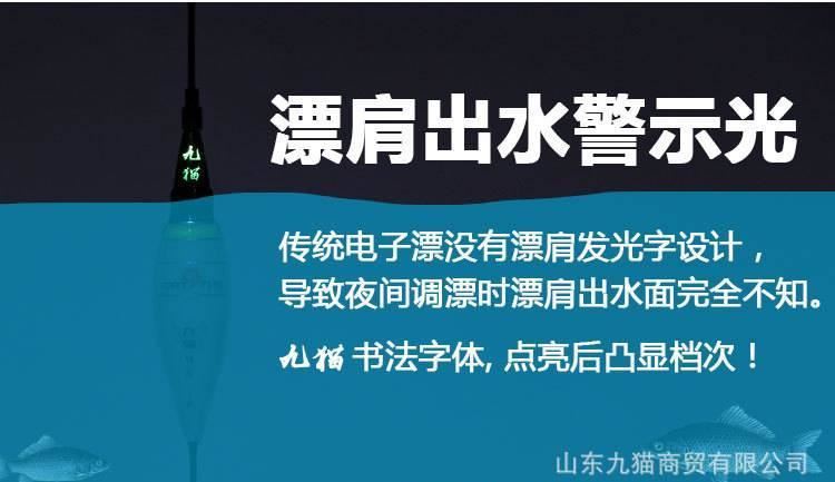 夜釣漂電子浮漂釣魚(yú)鯽魚(yú)大浮力納米水無(wú)影魚(yú)漂電子漂夜光漂超亮票示例圖3