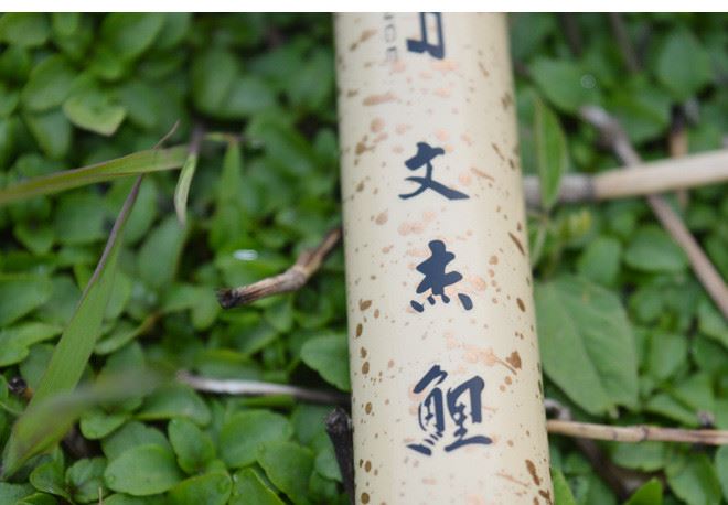 釣樂尚品漁具批發、實體招商加盟 文杰鯉二代臺釣鯉魚竿 釣竿魚竿示例圖14