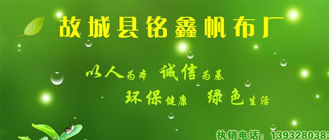 防汛編織袋  消防專用袋 遇水膨脹防汛袋 護(hù)坡袋 量大從優(yōu)示例圖1