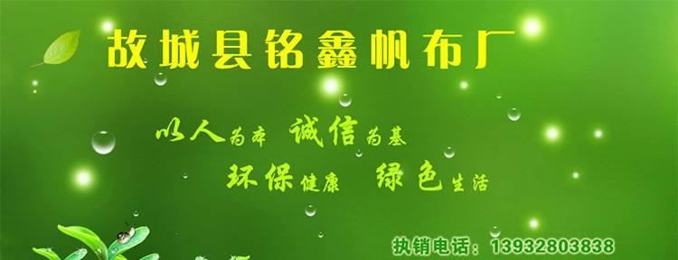 防寒防水棉門簾冷庫棉門簾牛津布棉門簾大棚保溫棉被防火棉門簾示例圖1