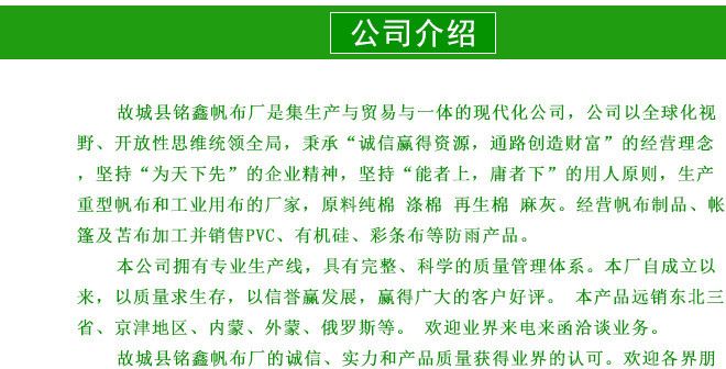 馬賽克迷彩布 野外迷彩布料 印花迷彩布 箱包迷彩布示例圖13