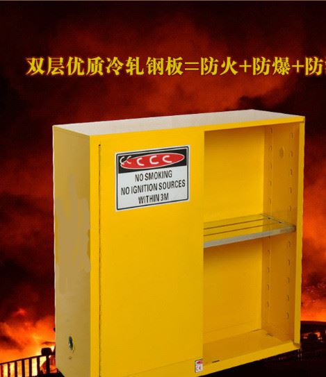 蘇州60加侖防火防爆安全柜 防爆柜 安全柜 油桶柜示例圖2