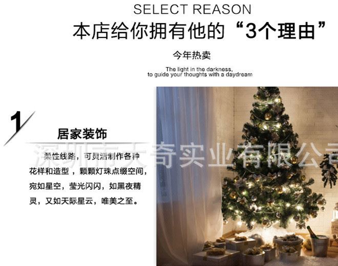 50米500燈暖白LED全防水公母接燈串 戶外亮化彩燈閃燈 婚慶布置示例圖3