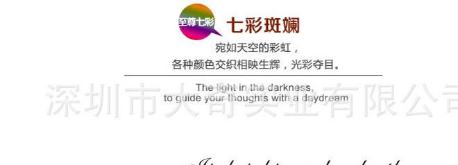 50米500燈暖白LED全防水公母接燈串 戶外亮化彩燈閃燈 婚慶布置示例圖9