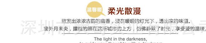 50米500燈暖白LED全防水公母接燈串 戶外亮化彩燈閃燈 婚慶布置示例圖13