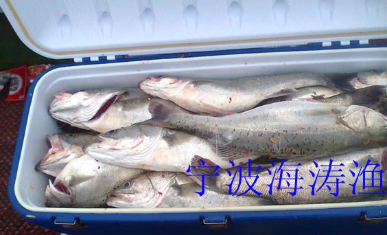 富力富茂帶輪子海釣保溫箱冷藏箱釣箱釣魚箱漁具釣具80L100L150升示例圖3