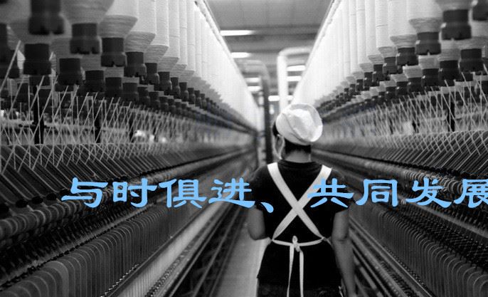 彎曲絲 克林紗KDK紗線  滌綸   波浪條紋提花網(wǎng)布紗線示例圖2