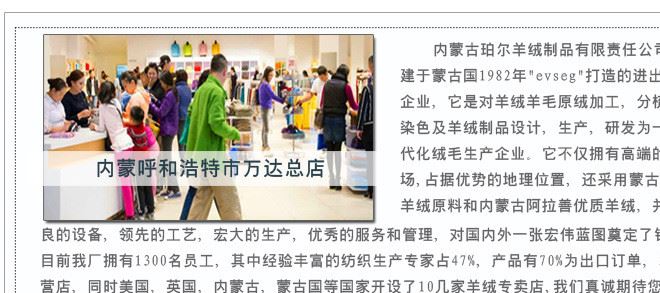 秋冬新款時(shí)尚品牌女羊絨衫色女毛衣高領(lǐng)女士羊毛衫TC246示例圖1