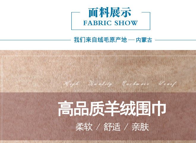 秋冬新款時(shí)尚品牌女羊絨衫色女毛衣高領(lǐng)女士羊毛衫TC246示例圖3