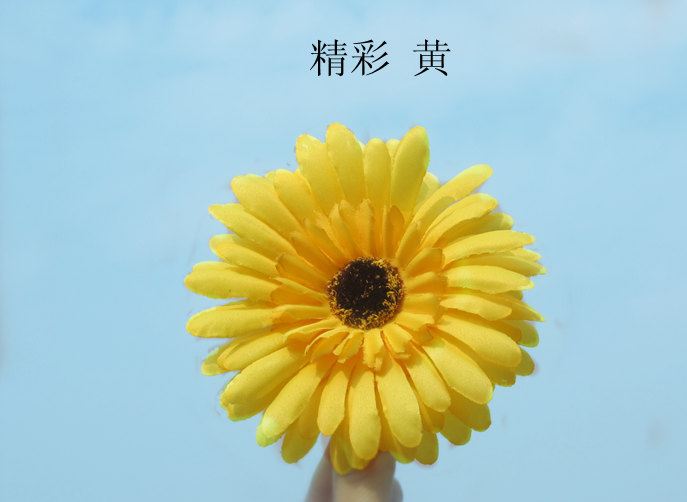 批發(fā)發(fā)飾 頭花 海邊必備沙灘度假必備混批非洲菊 發(fā)夾 新娘花雛菊示例圖12