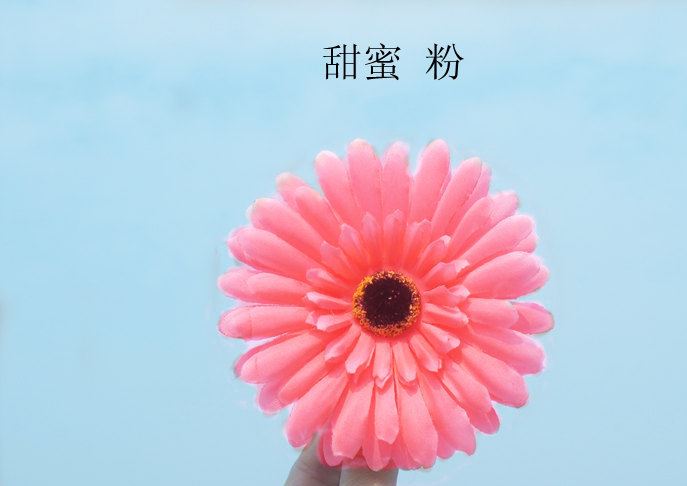 批發(fā)發(fā)飾 頭花 海邊必備沙灘度假必備混批非洲菊 發(fā)夾 新娘花雛菊示例圖13