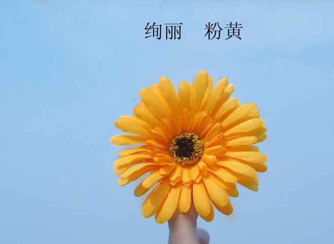 批發(fā)發(fā)飾 頭花 海邊必備沙灘度假必備混批非洲菊 發(fā)夾 新娘花雛菊示例圖15