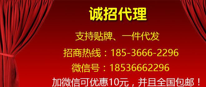 廠家直銷代理批發(fā)家用智能電鍋爐電采暖爐電壁掛爐電暖器2-6kw示例圖1