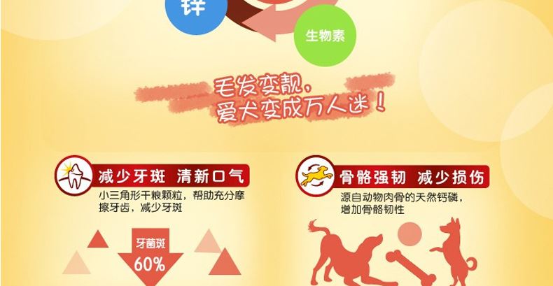 寶路狗糧 中小型犬成犬糧1.8kg牛肉口味 成犬比熊貴賓泰迪狗糧示例圖10