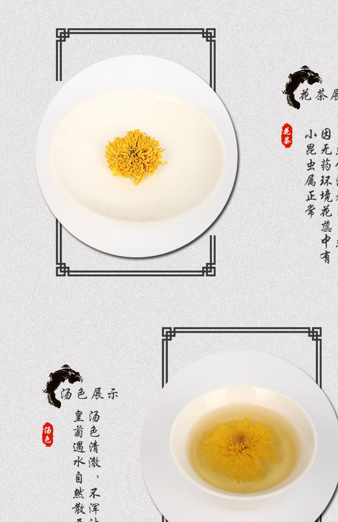 皇菊20g瓶裝2017年新品 施蕊皇菊富硒菊花茶廠家直銷批發(fā)示例圖3