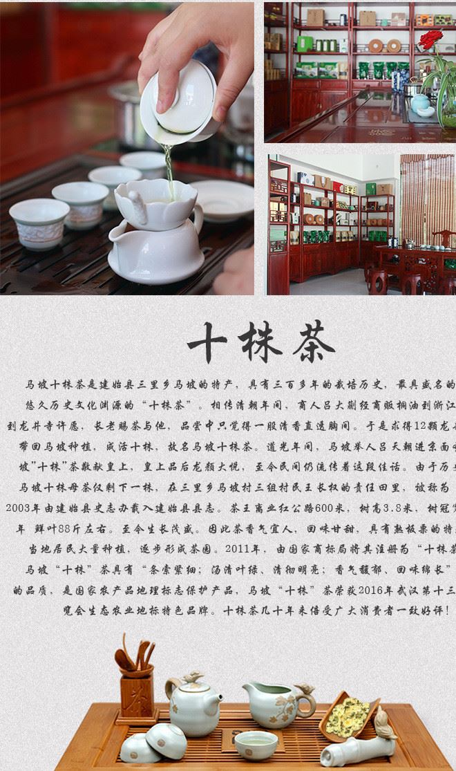 皇菊20g瓶裝2017年新品 施蕊皇菊富硒菊花茶廠家直銷批發(fā)示例圖6
