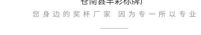 廠家直銷批發金屬獎牌獎章勛章掛牌胸牌定制電鍍鋅合金麥穗金箔獎示例圖14