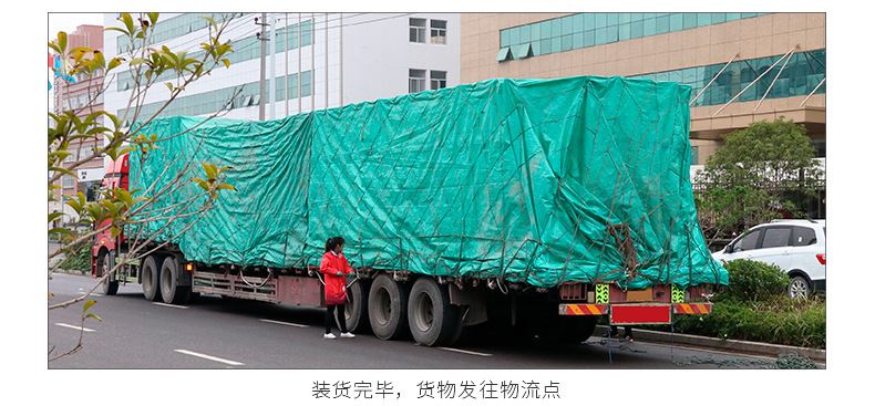 ZN28-12/630A/1250/2000/2500戶內高壓真空斷路器10KV手車式開關示例圖21