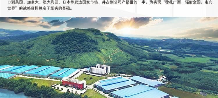 廣西志光辦公家具文件柜板式檔案柜矮柜簡約現代落地資料書柜直銷示例圖40