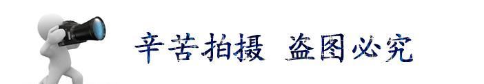 東莞水洗紙 洗水紙代理  宗色洗水紙 商標(biāo)布 特種紙 德國牛仔紙示例圖4