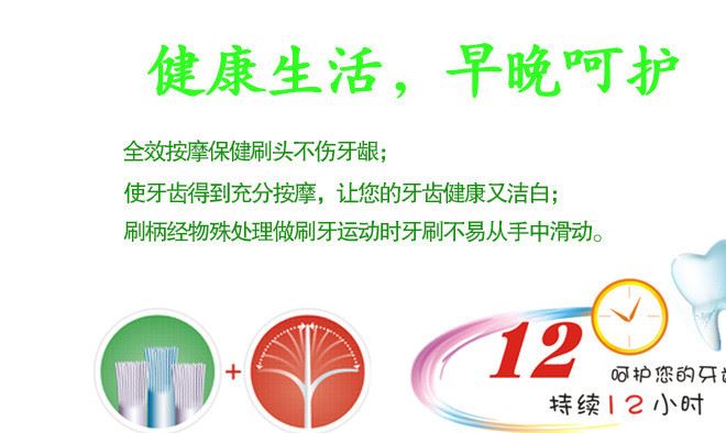 8325高緣透氣刷孔牙刷 加倍清潔深入齒縫健康口腔成人牙刷示例圖10