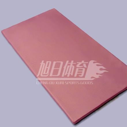 健身專用健身墊子 健美操墊子 親子園運動地墊示例圖1