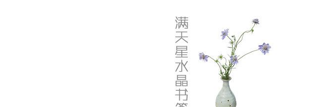 干花玻璃球書簽 植物標本滿天星尺子標尺 文藝青年學習用品示例圖2